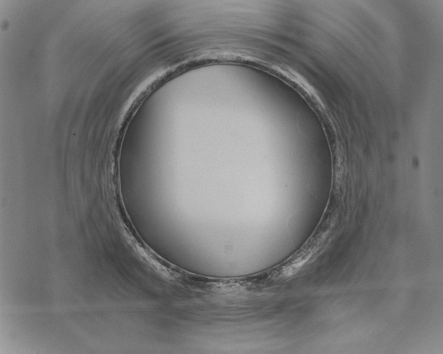 X0000076270799200610191738