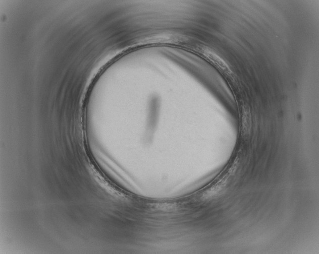 X0000076270800200610191738