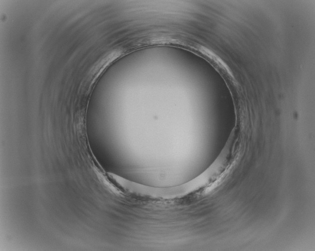 X0000076270801200610191738