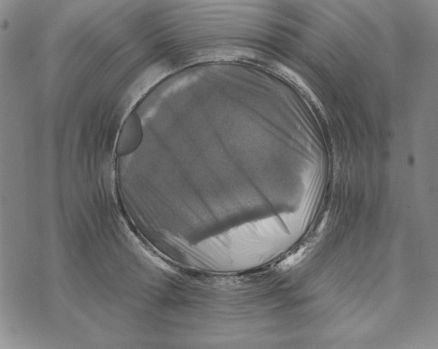 X0000076270802200610191738