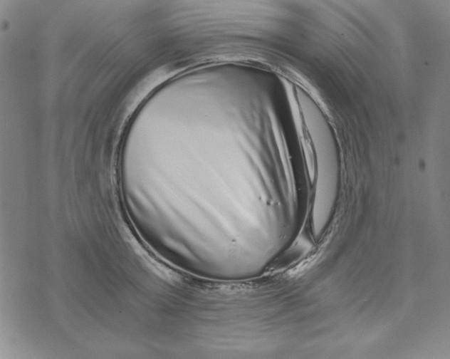 X0000076270803200610191738