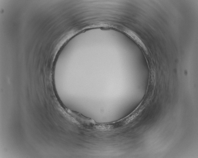 X0000076270805200610191738