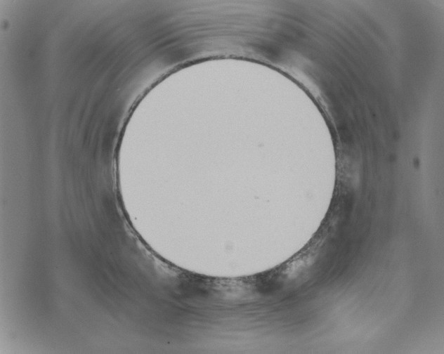 X0000076270807200610191738