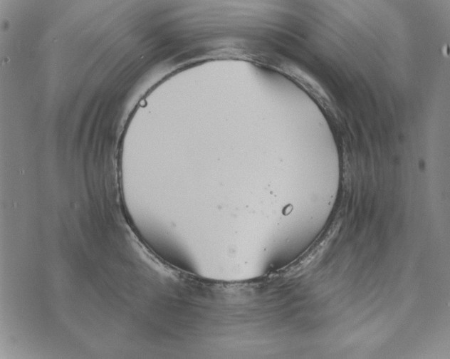 X0000076270808200610191738