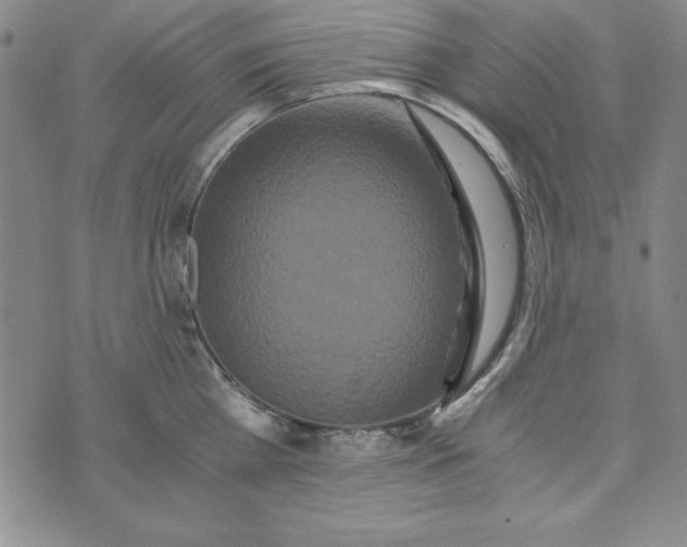 X0000076270809200610191738