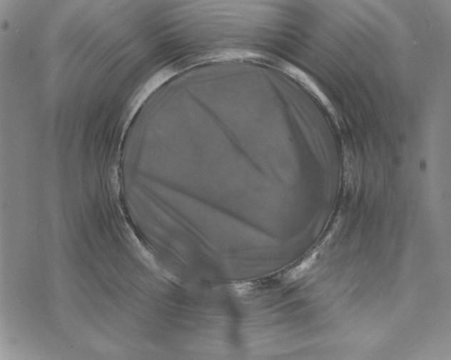 X0000076270810200610191738