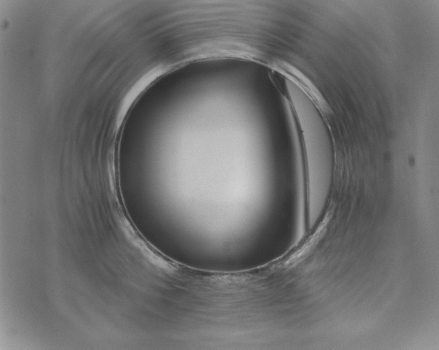 X0000076270812200610191738