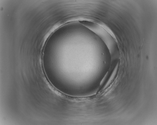 X0000076270813200610191738