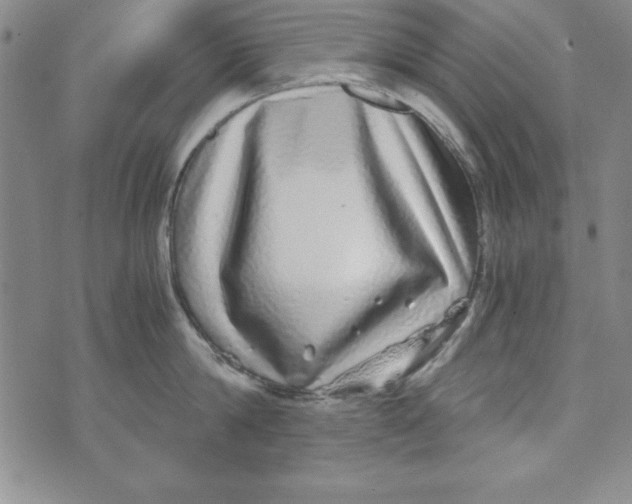 X0000076270814200610191738