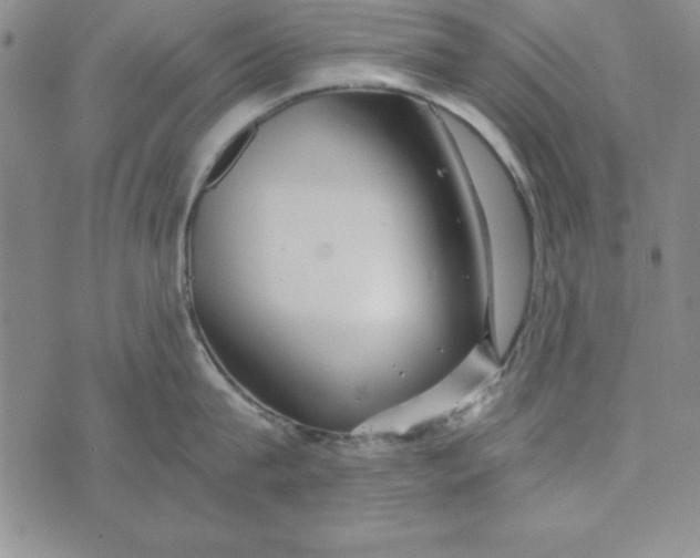 X0000076270815200610191738