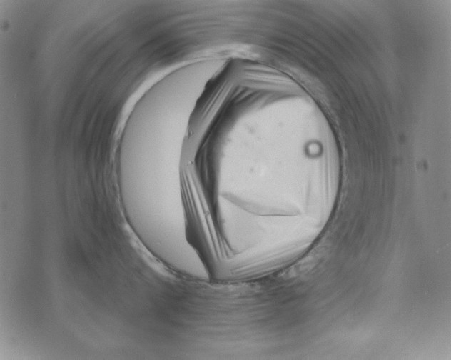 X0000076270816200610191738