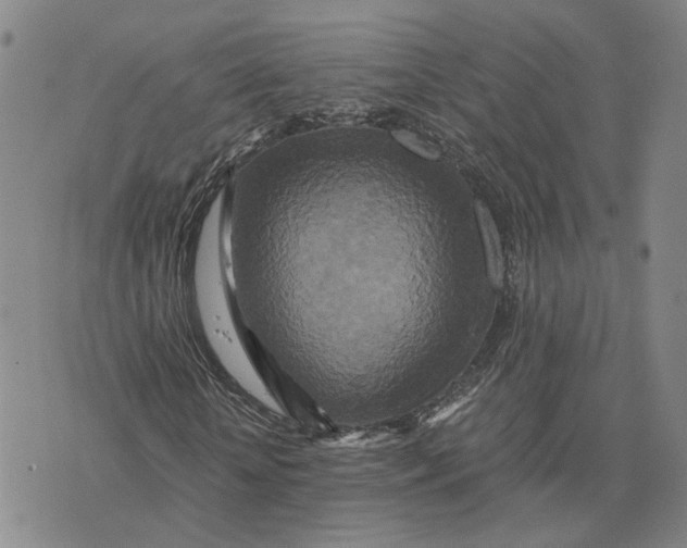 X0000076270818200610191737