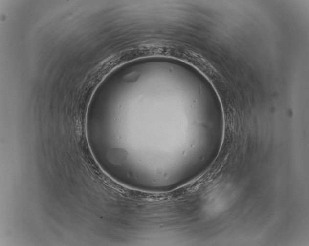 X0000076270821200610191737