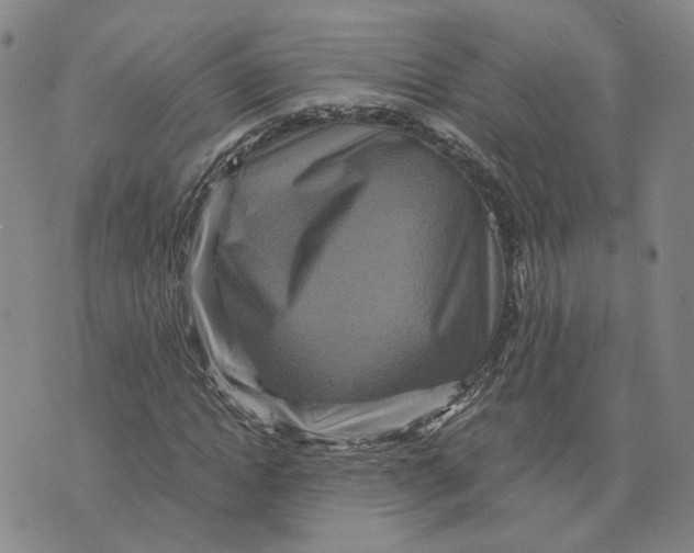 X0000076270822200610191737