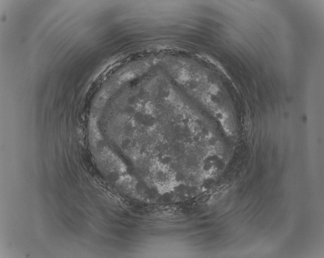 X0000076270823200610191737