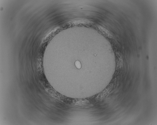 X0000076270824200610191737