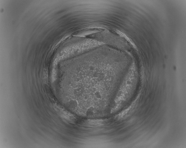 X0000076270825200610191737