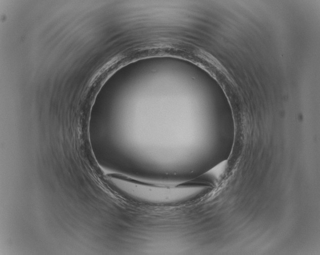 X0000076270826200610191737