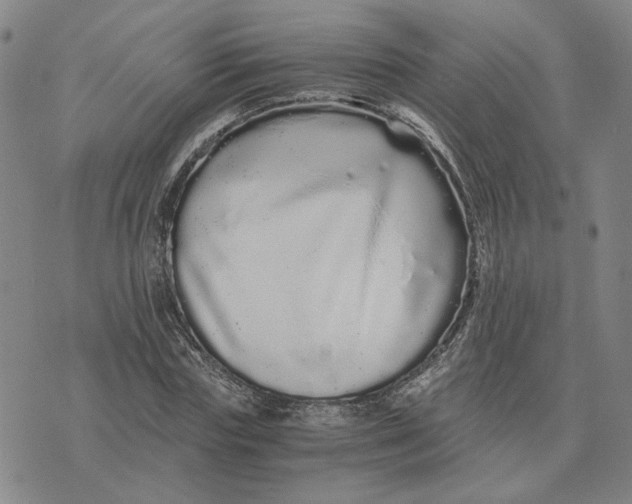 X0000076270827200610191737