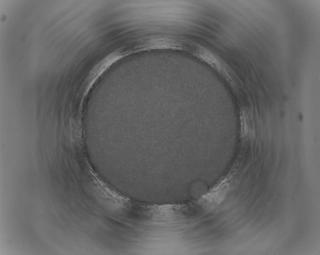 X0000076270828200610191737