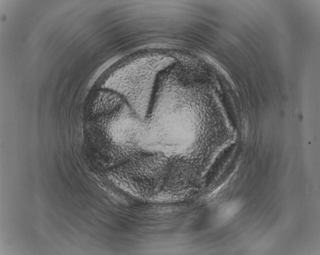 X0000076270829200610191737