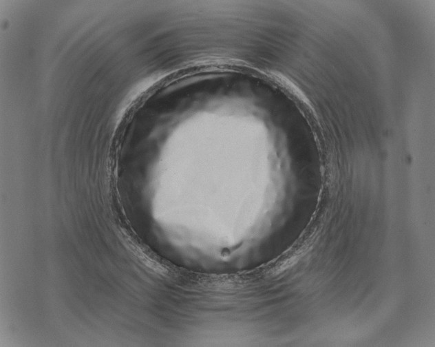 X0000076270831200610191737