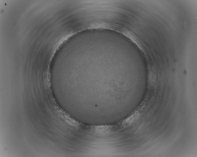 X0000076270832200610191737