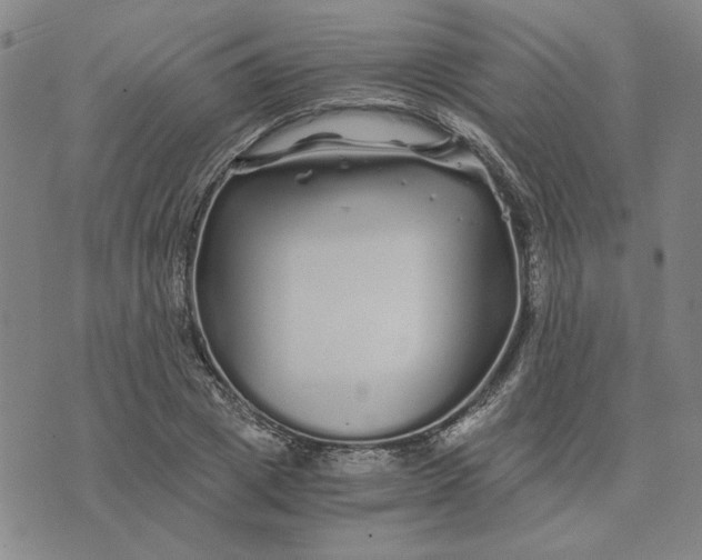 X0000076270833200610191737