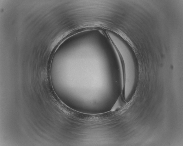 X0000076270834200610191737