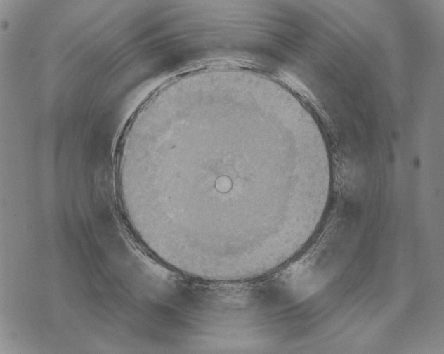 X0000076270836200610191737