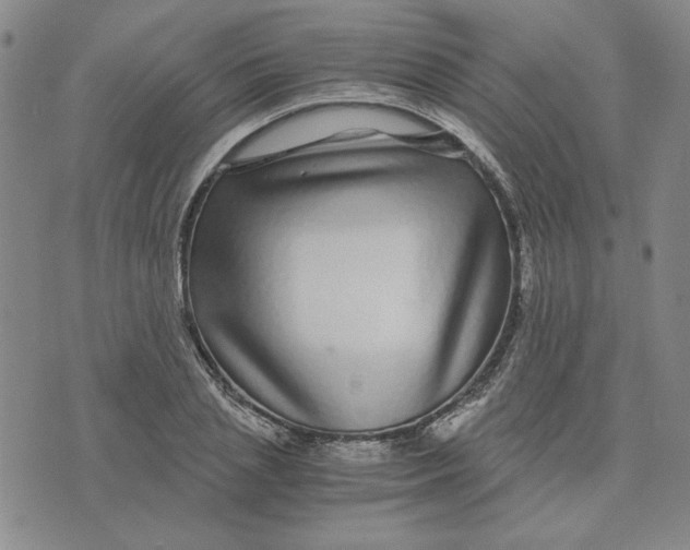 X0000076270837200610191737