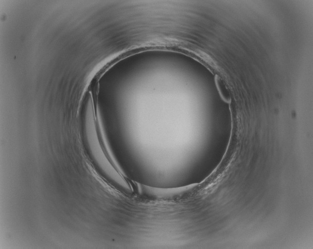 X0000076270838200610191737