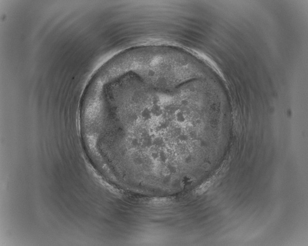 X0000076270839200610191737