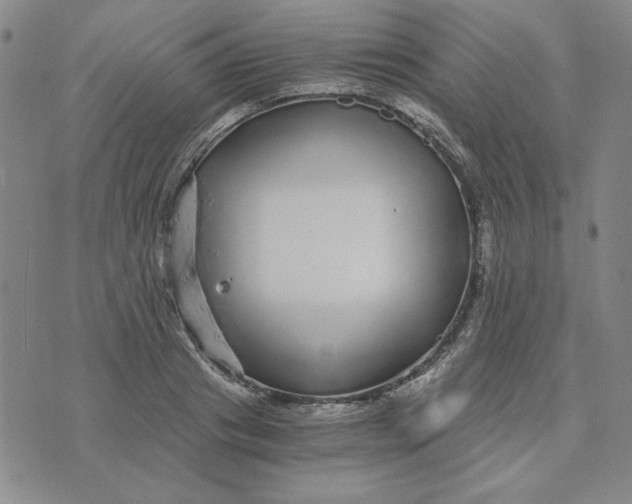 X0000076270841200610191737