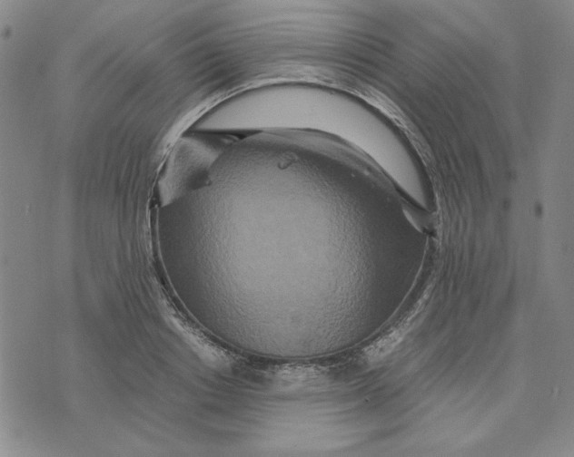 X0000076270842200610191737