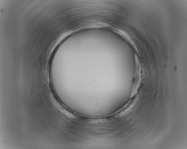 X0000076270843200610191737