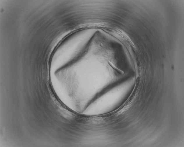 X0000076270844200610191737