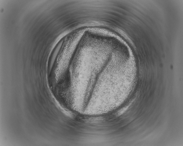 X0000076270845200610191737