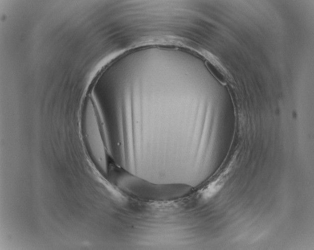 X0000076270846200610191737