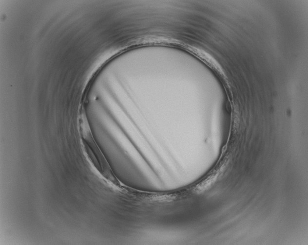 X0000076270847200610191737