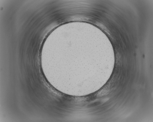 X0000076270848200610191737