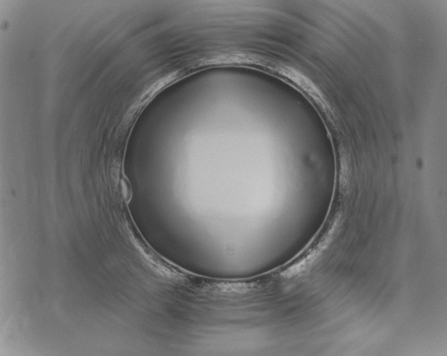 X0000076270849200610191737