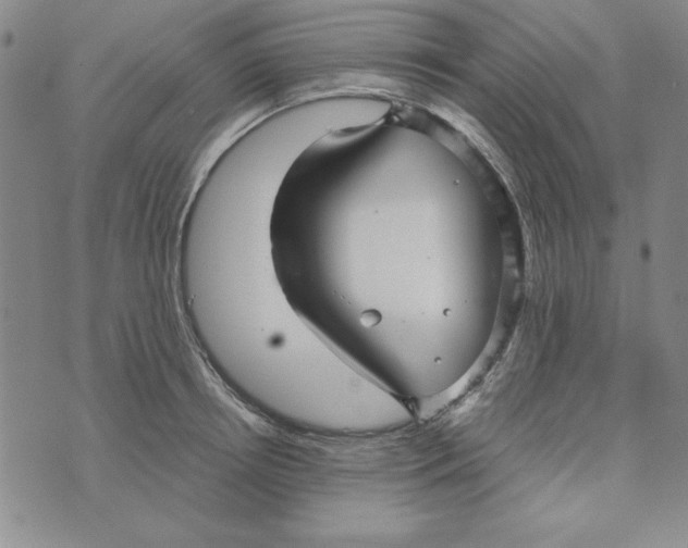 X0000076270850200610191737