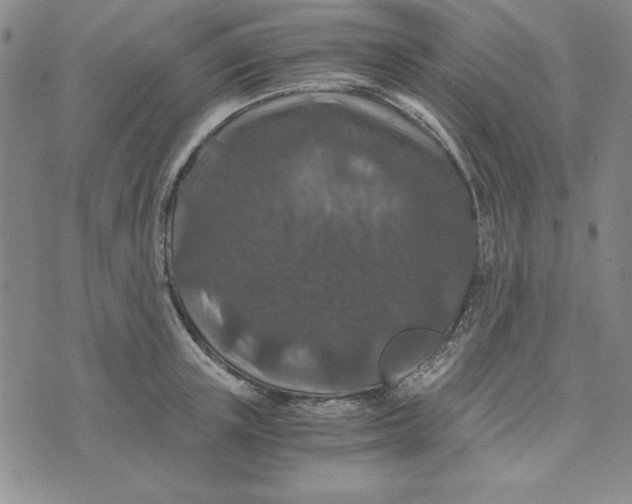 X0000076270851200610191737