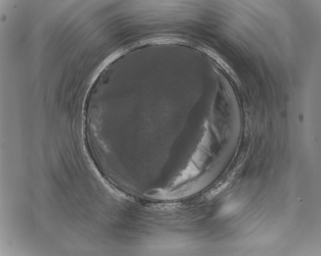 X0000076270853200610191738