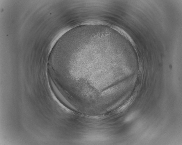 X0000076270855200610191738