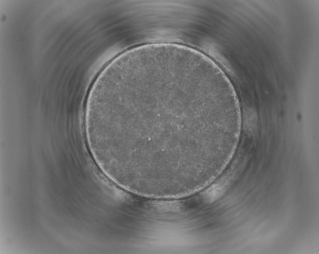 X0000076270856200610191738