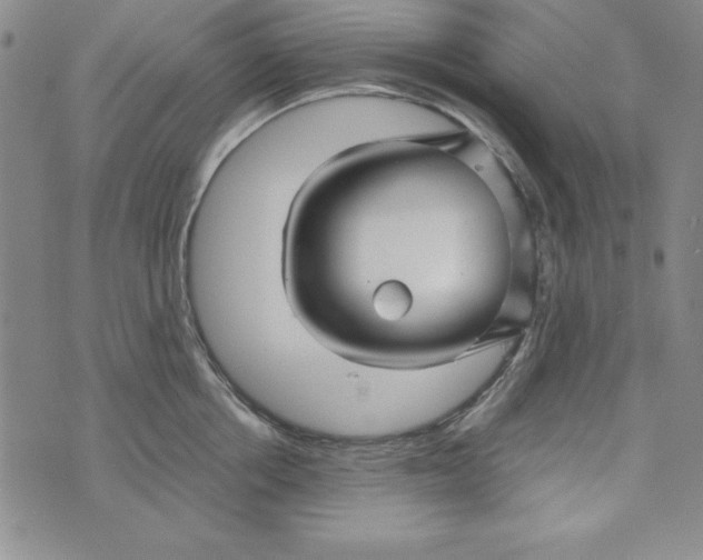 X0000076270858200610191738