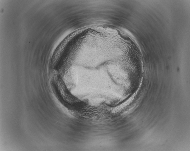 X0000076270859200610191738