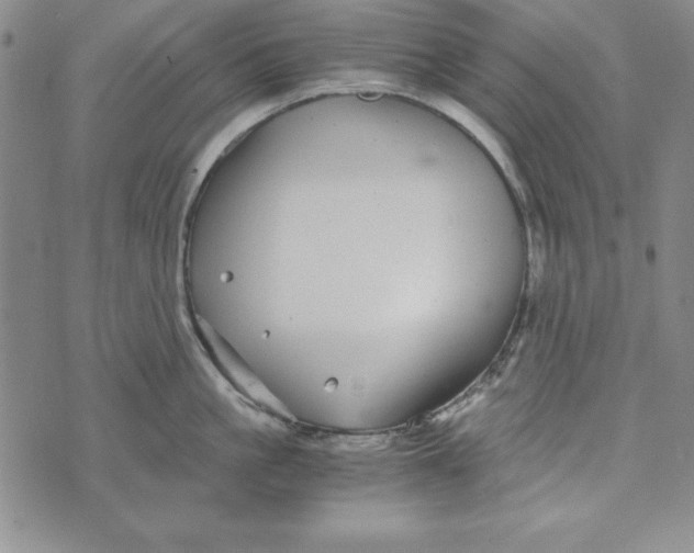 X0000076270861200610191738